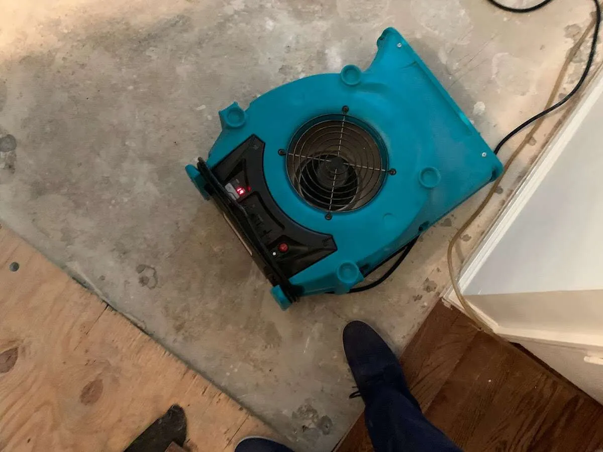 Air mover drying subfloor during Commercial Water Damage Restoration in Capitol View